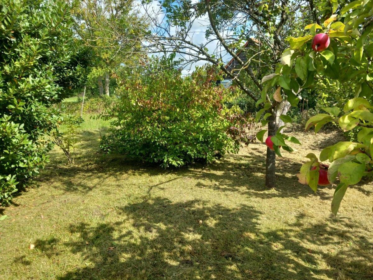 圣奥梅尔Le Jardin Secret别墅 外观 照片